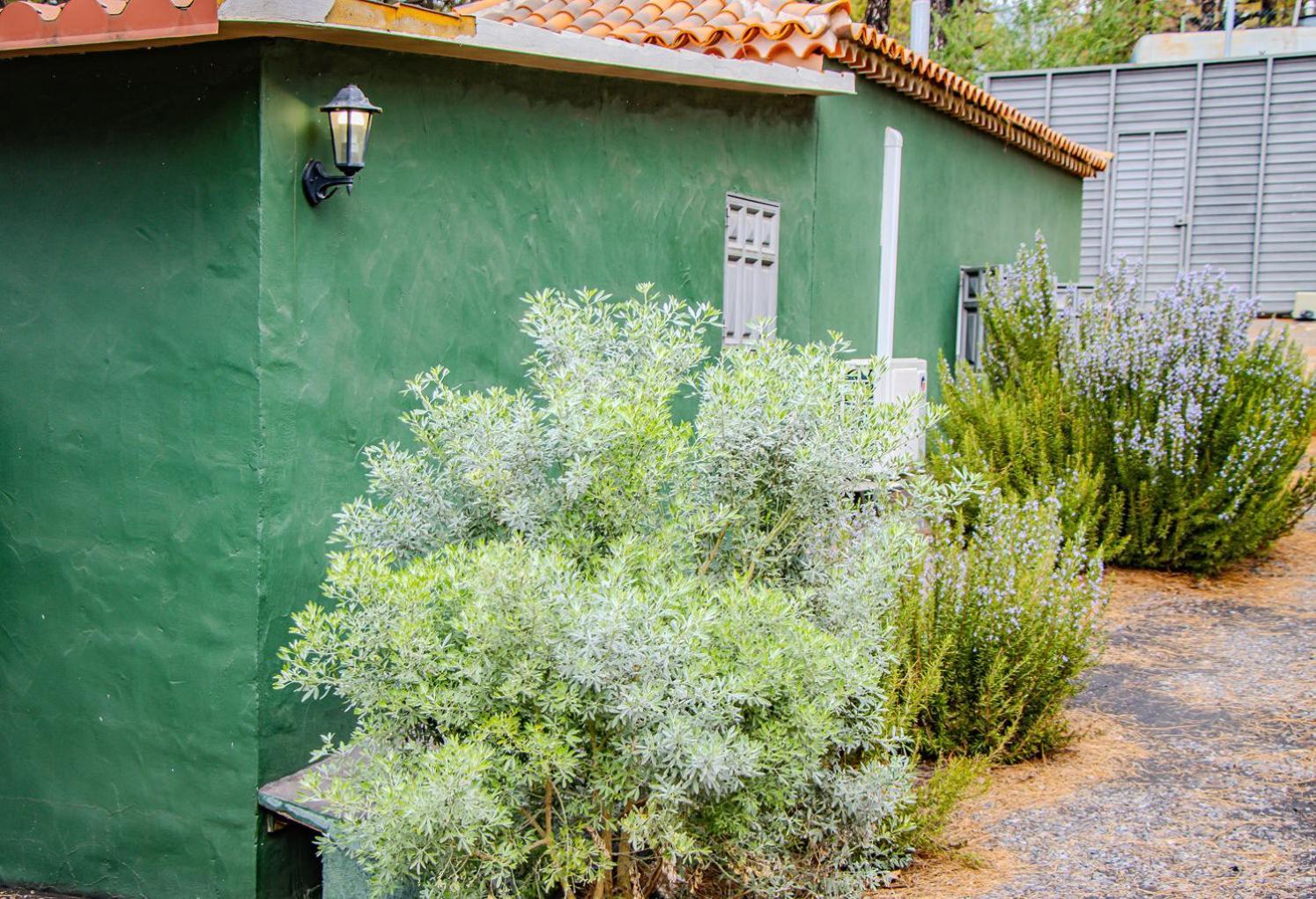 Vivienda Vacacional La Morada El Paso Esterno foto